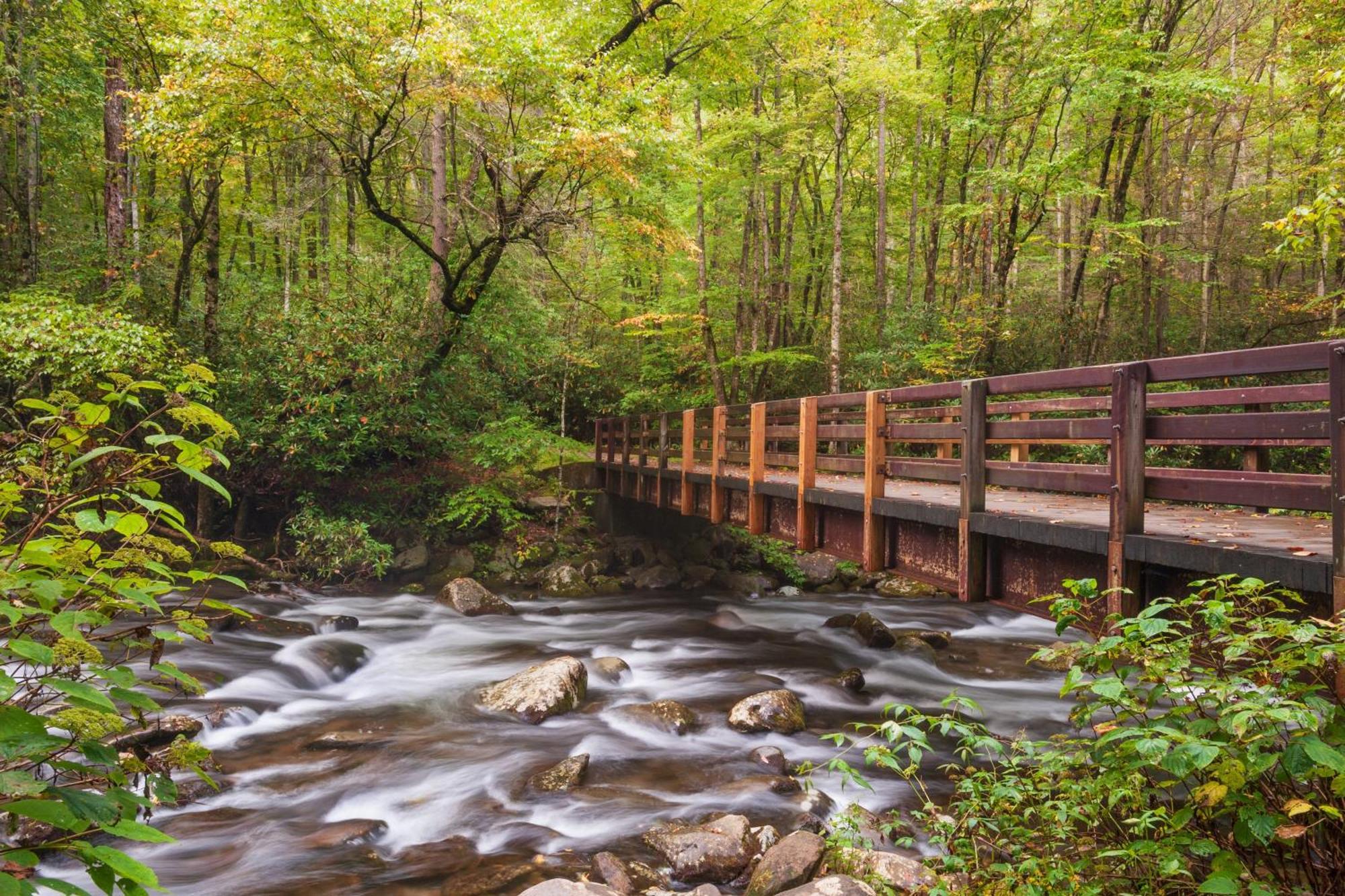 River Song, Near River, Hot Tub, Foosball, Wifi 1089 Free Tickets Each Paid Day, Dollywood And More Sevierville Dış mekan fotoğraf